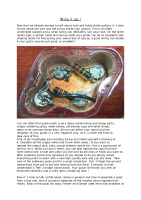 Gibson Wire-it-up-4-pages 